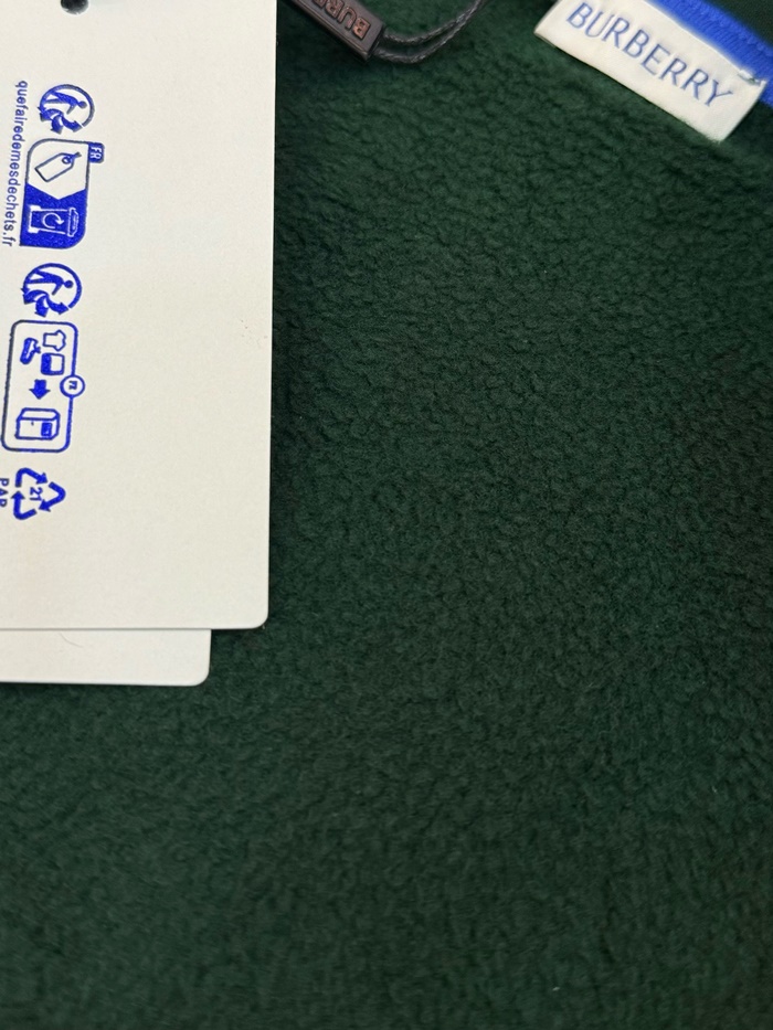 cfbbc6bed538a5728c915cea4bbfd312_1742609061_9764.JPG