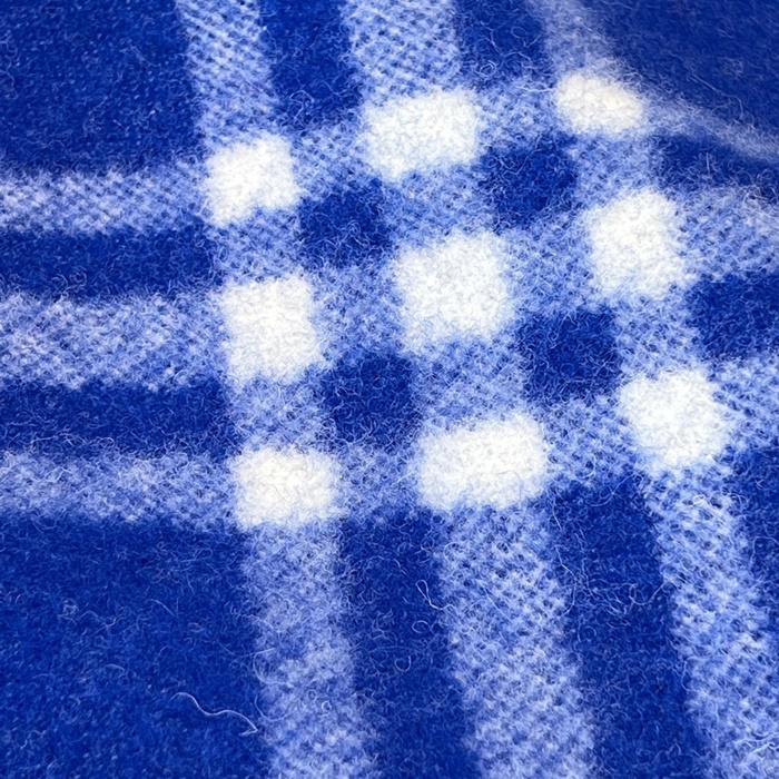 1f1307655c87b80586dfb7a0894e589c_1763040372_8211.JPG