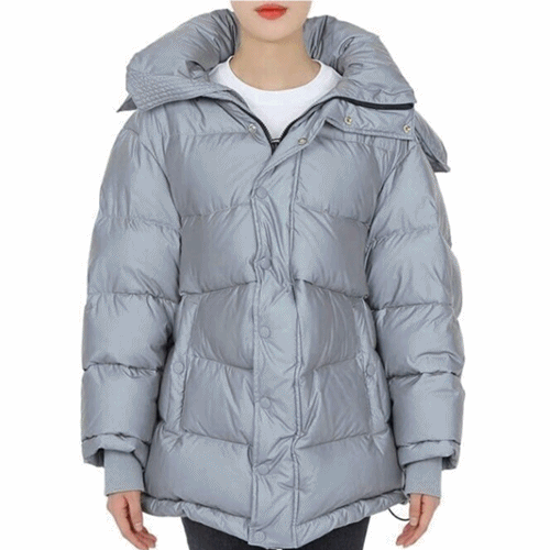 Balenciaga Unisex Down Padding - 발렌시아가 남/녀 리플렉티브 덕다운 패딩 - bal44x