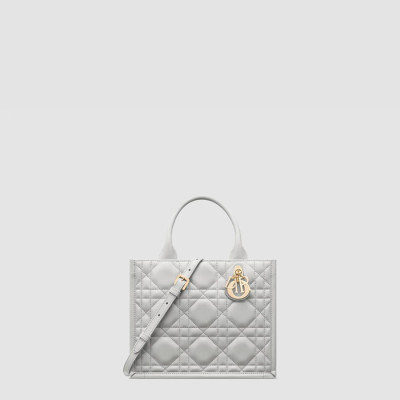 디올 여성 북토트 스몰 백 - Dior Womens Book Tote Small Bag - dib10773x