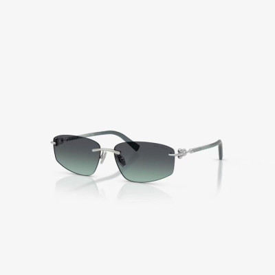 티파니 여성 프리미엄 메탈 프레임 선글라스 - Tiffany Womens Premium Metal Frame Sunglasses - acc6715x