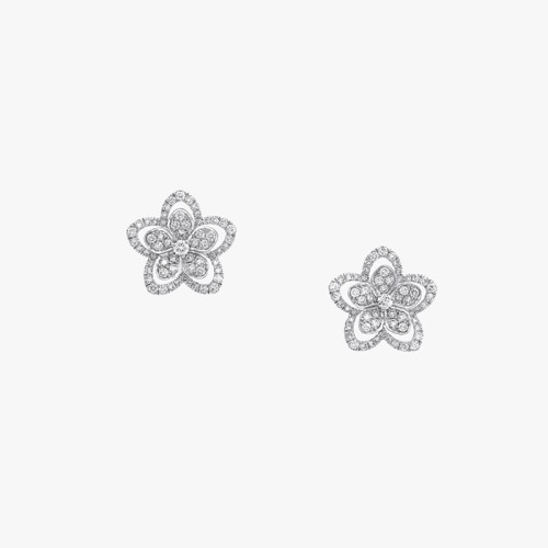 그라프 여성 골드 이어링 - Graff Womens Gold Earring - acc7048x