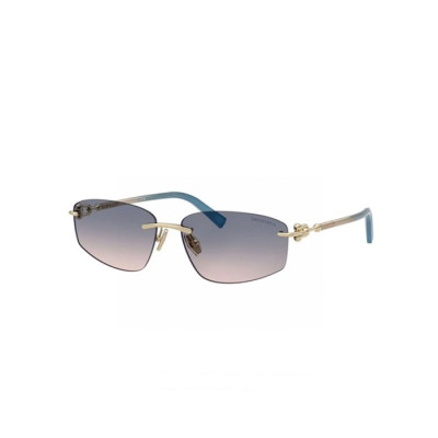 티파니 여성 프리미엄 메탈 프레임 선글라스 - Tiffany Womens Premium Metal Frame Sunglasses - acc7156x