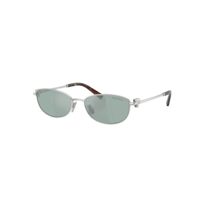 티파니 여성 프리미엄 메탈 프레임 선글라스 - Tiffany Womens Premium Metal Frame Sunglasses - acc7165x